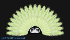 Fireworks教程:用钢笔绘制漂亮的